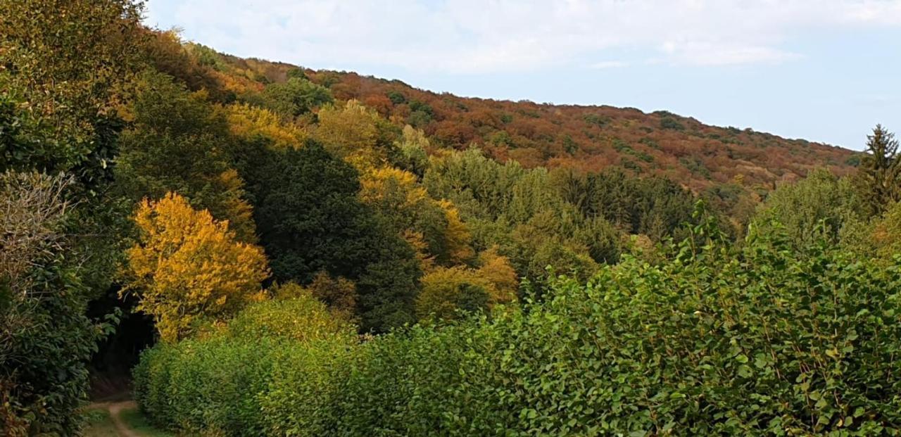 Ferienhaus Chalet Cottage Ourtalblick 2Km Von Vianden-Lux Roth an der Our Exterior photo