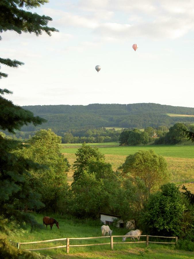 Ferienhaus Chalet Cottage Ourtalblick 2Km Von Vianden-Lux Roth an der Our Exterior photo